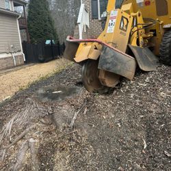 STUMP GRINDING 