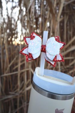 Stanley Tumbler  White And Red Topper 