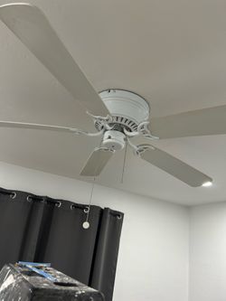 Free fan