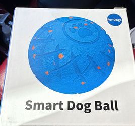 Smart Dog Ball Toy