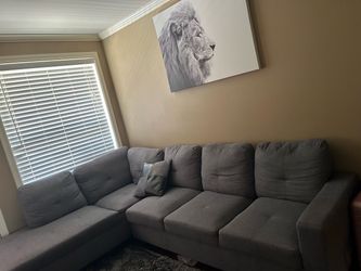GRAY SECTIONAL COUCH — $200