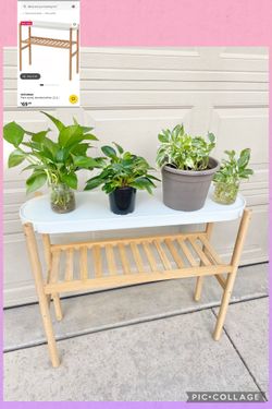 Plant stand🟥🟥read description