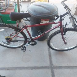 Bianchi Man's Mtn Bike 