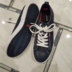 Mens Blue Levis Canvas Shoes