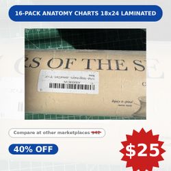 16-Pack Anatomy Charts 18x24 Laminated
