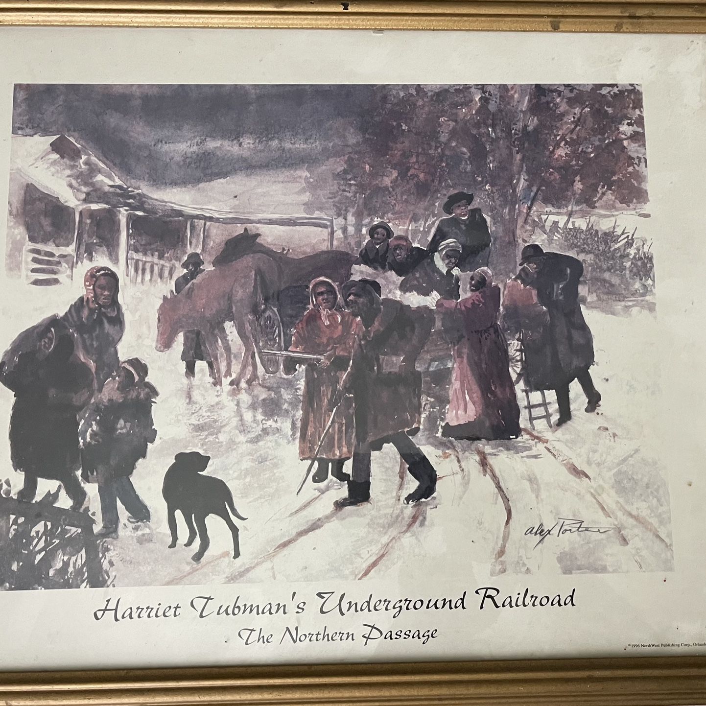 Harriet Tubman Picture