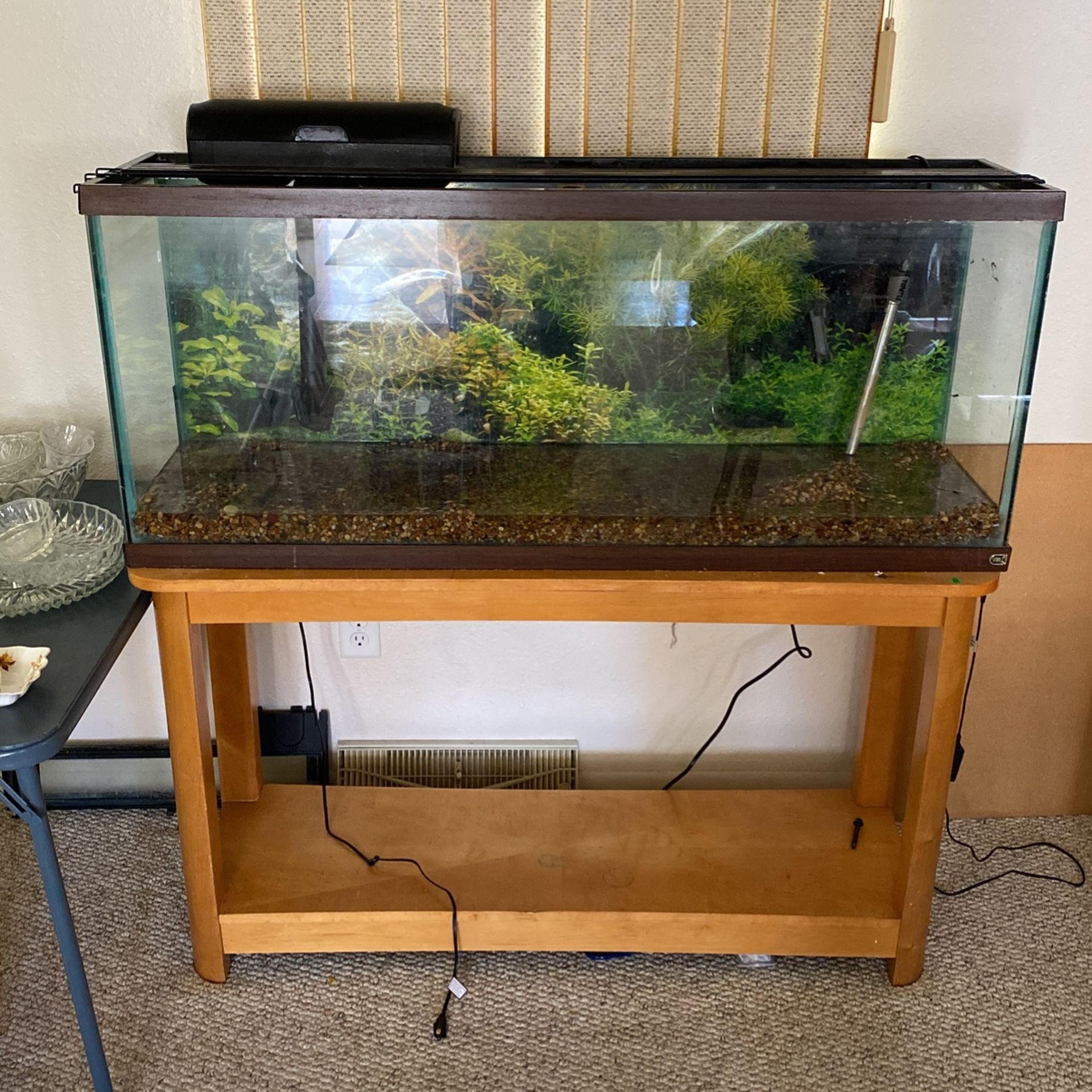 55 Gallon Fish Tank (table included)