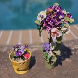 Flower Display. Two Pots. $6.