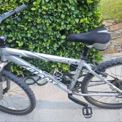 Giant Rincon Mountain Bike 
