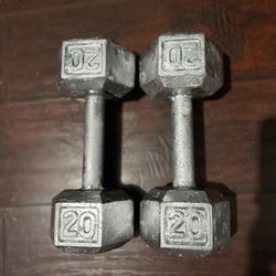 Cast Iron 20 Pound Dumbells