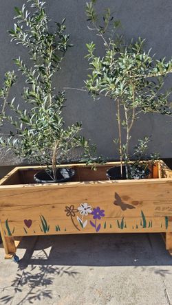 Planter