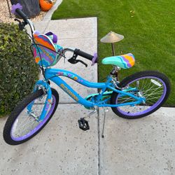 Girls 20 Inch Scwinn Bike 