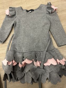 Biscotti Girls Dress Pink and Grey Size 4T