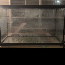 10g Aquarium 