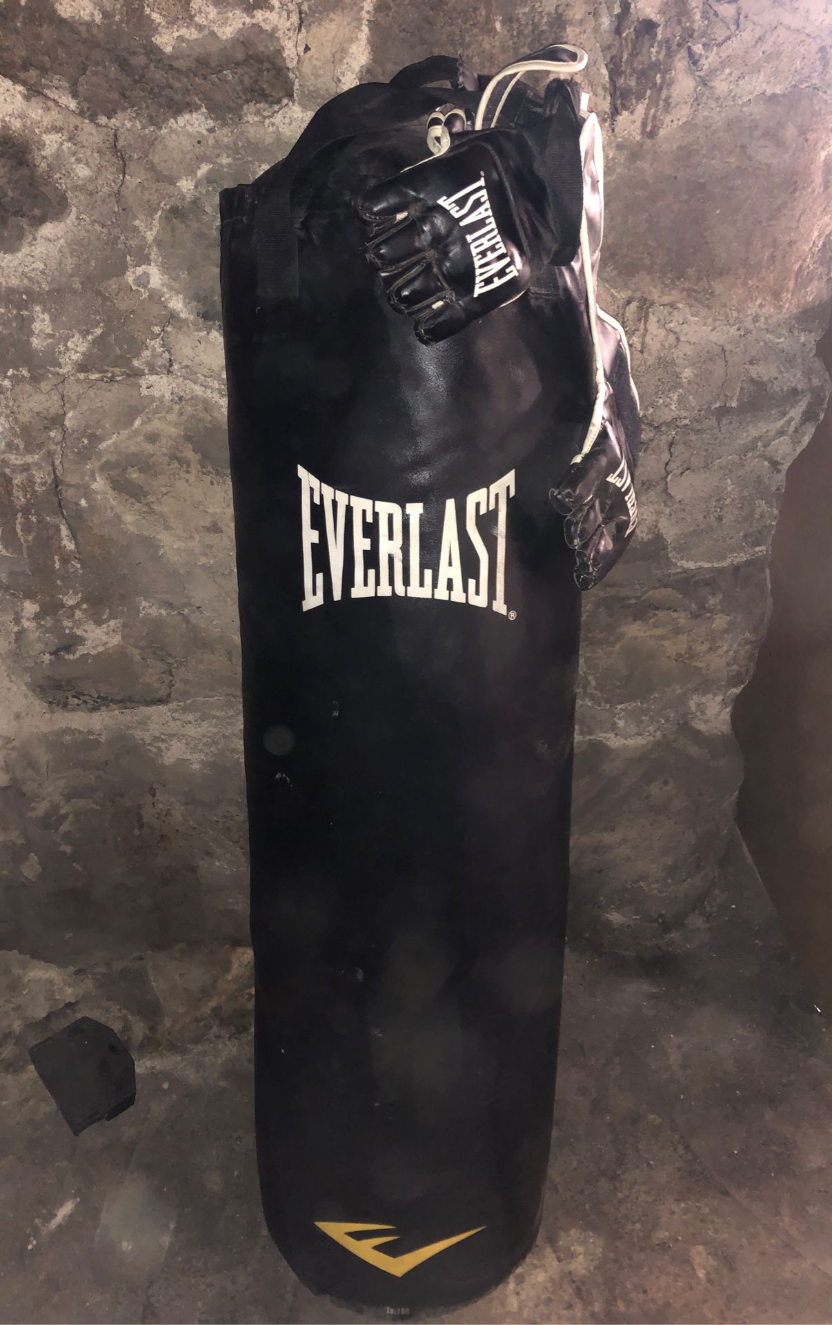 100 pound Everlast punching bag