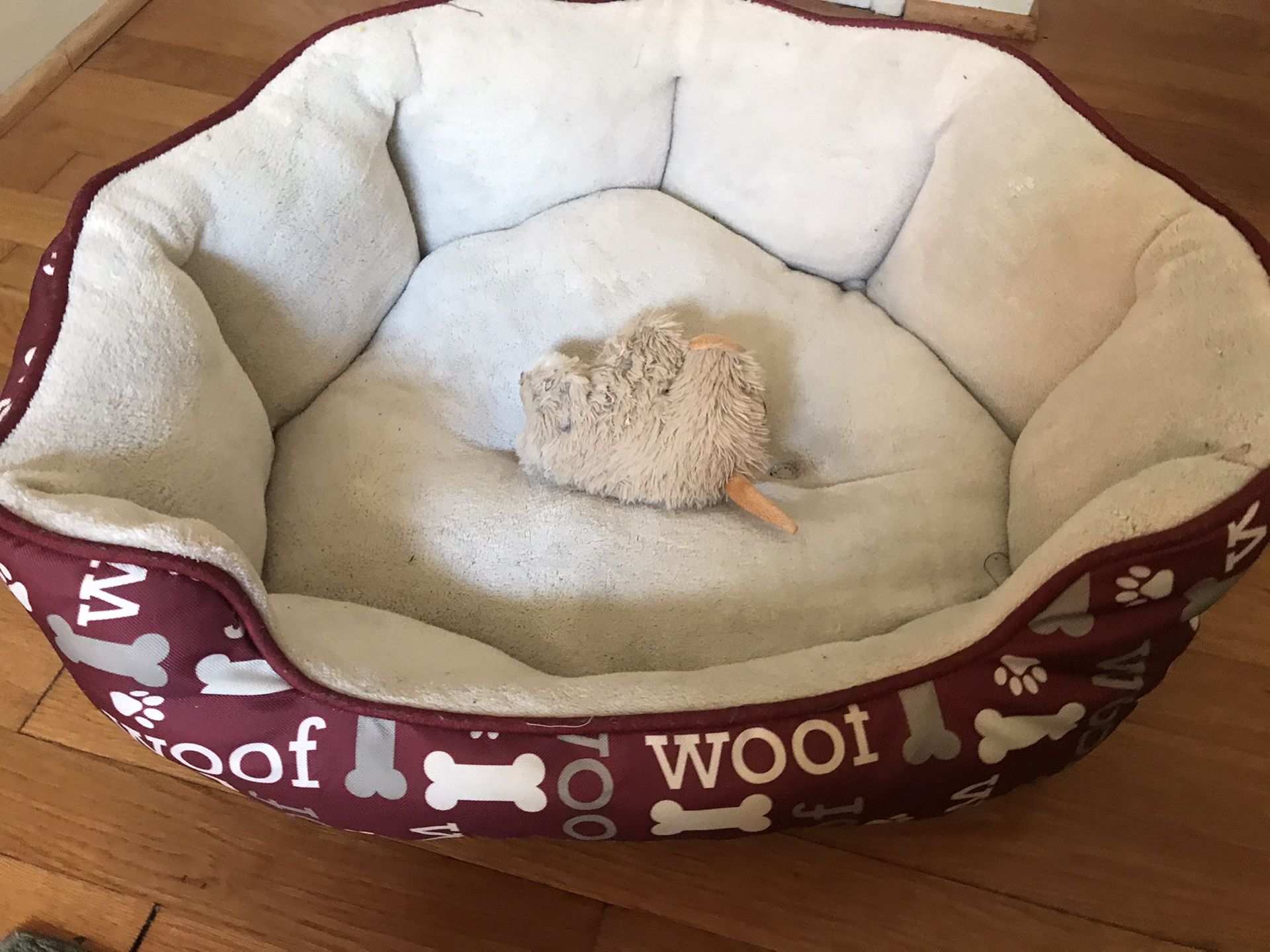 Large Dog bed