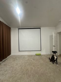 TV Projector + Screen | Vankyo 570D ($350+ value)