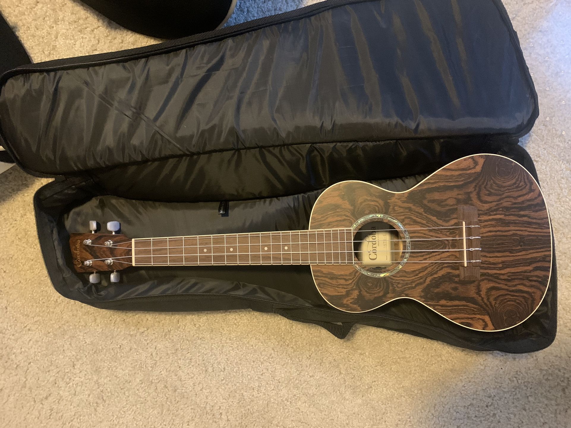 Cordoba Tenor Electric Ukulele + Case