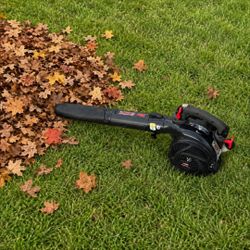 Craftsman 2 stroke gas Blower