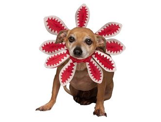 Red White Carnivorous Flower Dog Cat Halloween Costume L