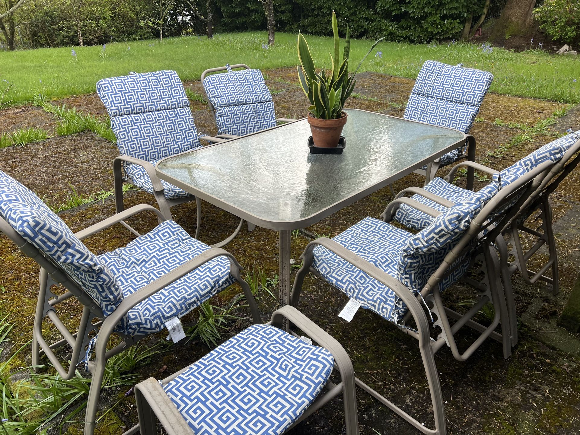 Patio furniture set: dining table, 6 armchairs, and 2 foot rests