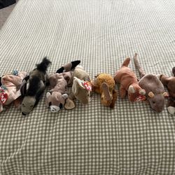 Beanie babies