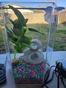 Beta Tank and more