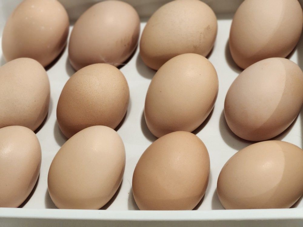 Fresh Organic Eggs