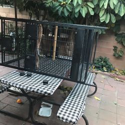 Large Bird Cage