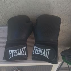 Boxing gloves