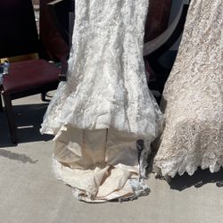 Wedding Dresses