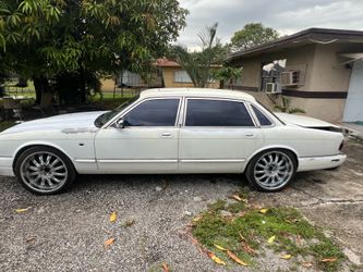 Jaguar for sale
