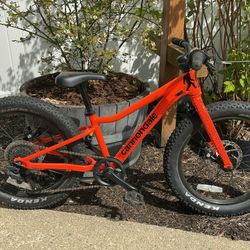 Cannondale Trail Plus 20 Kid’s Mountain Bike