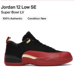 Jordan 12 Retro Low Super Bowl Size 7