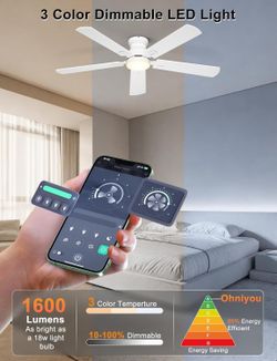 Ohniyou 52 inch Ceiling Fans with Lights