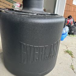 Everlast Punching Bag. 