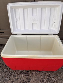 Large Igloo Cooler 20 inch