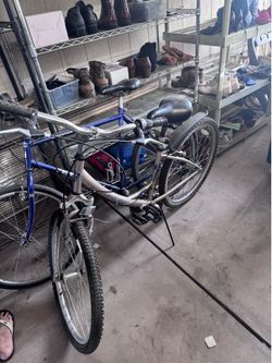 bikes