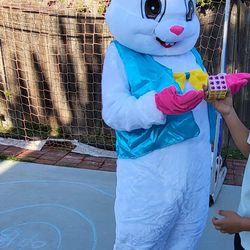 Easter rabbit costume