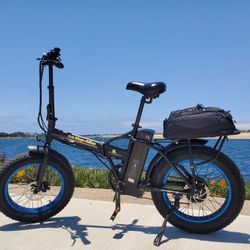 Foldable E-Bike 48V 500W Fat Tire Matte Black And Green