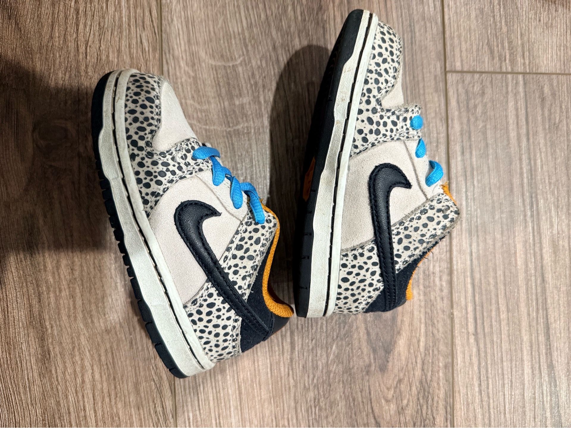 Nike dunks kids