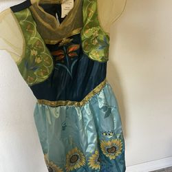 Princess Elsa Costume Dress $10