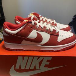 Nike USC Dunks