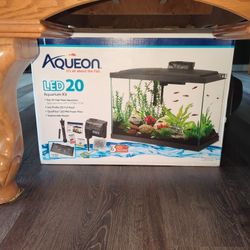 20 Gal Aquarium 