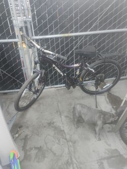 Trek bike