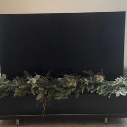 Samsung 65 Inch TV w/tinted glass BDI Table