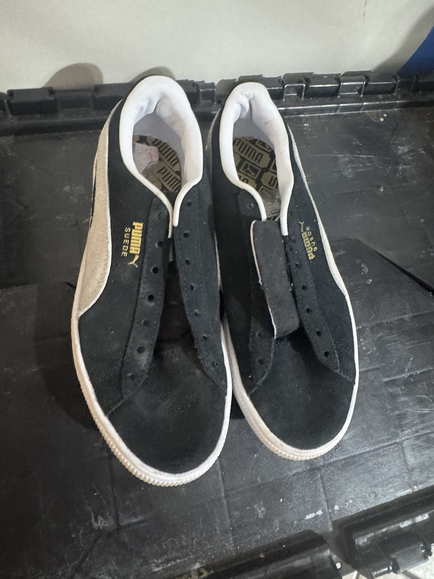 Pumas