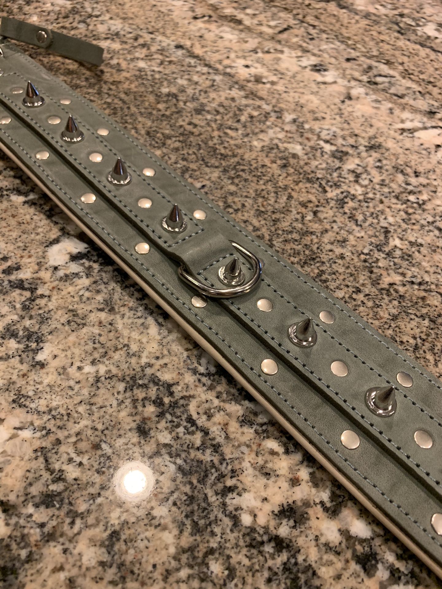 Gray spiked dog collar