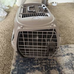 Doggy/kitty Create S/XS