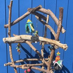 Macaw / Cockatoo Perch Tree / Thick And Curvy … A Gnarly Macaw Must Have !! 💯💯👍🏼
